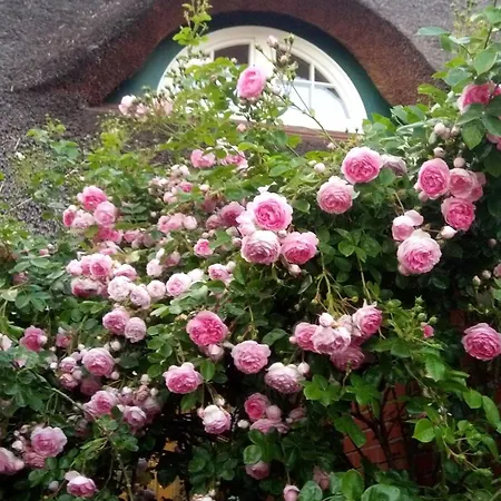 Zum Roten Gaul Appartement Heidmuhlen